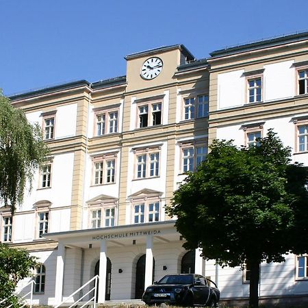 Apartment Tenx Mittweida Kültér fotó